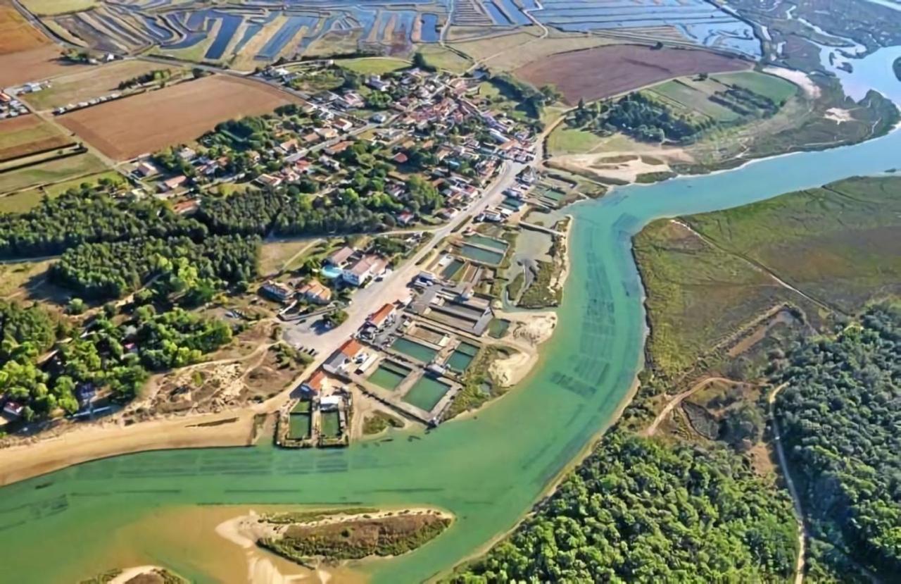 La Maisonnette Du Payre Talmont-Saint-Hilaire Екстериор снимка